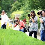 Top 7 Photography Workshops
